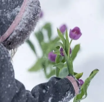 Kind met tulpen